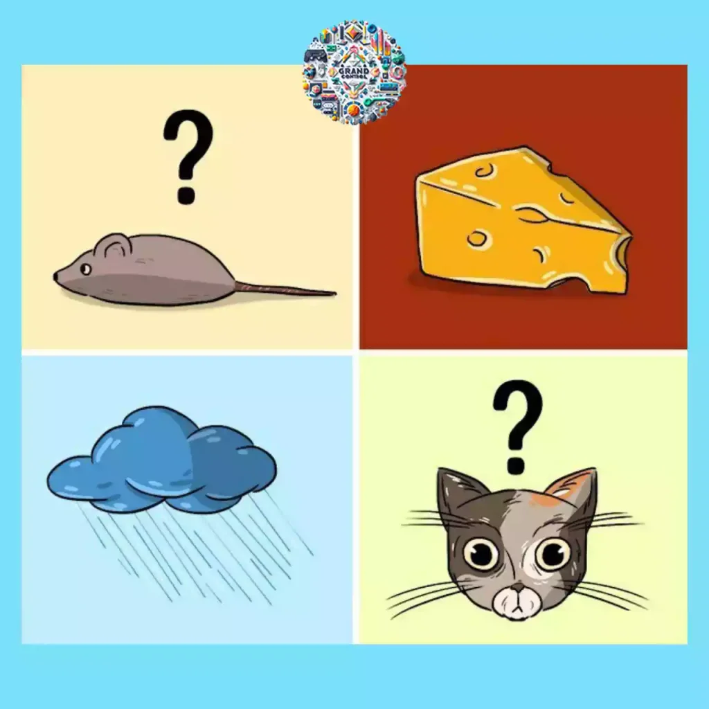 تست هوش موش و گربه