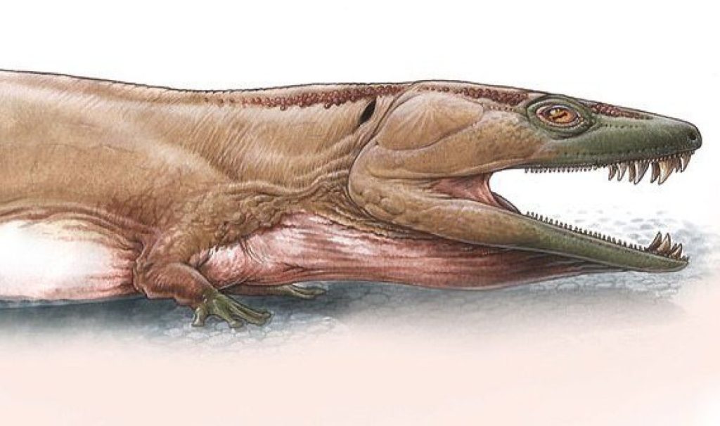 شکارچی ماقبل تاریخ