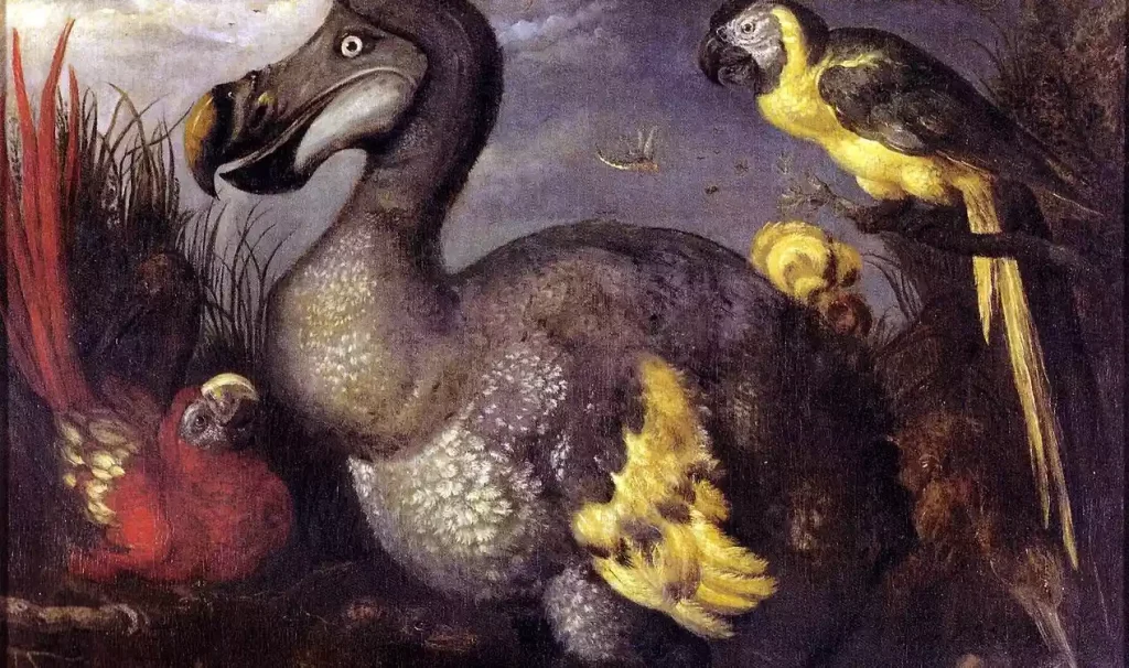 رازهای پرنده دودو