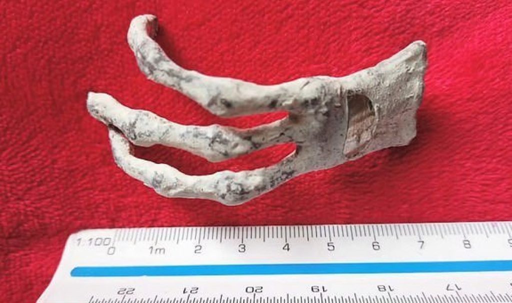 مرموزترین کشف در کالبد شکافی مومیایی های فضایی پرو