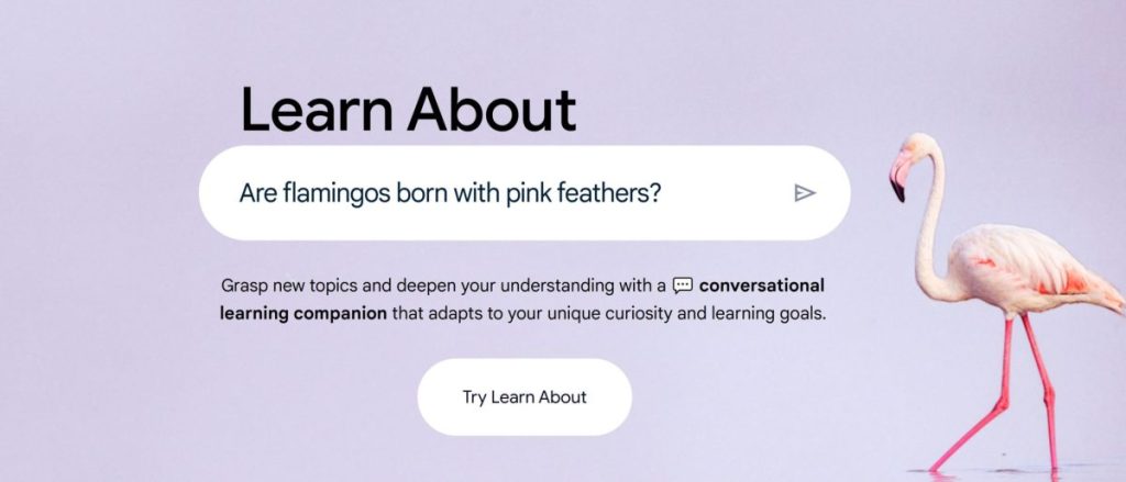 ابزار هوش مصنوعی آزمایشی گوگل به نام Learn About