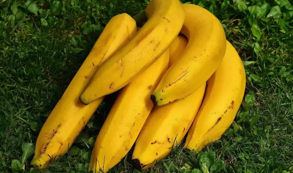 راز بشقاب موزهایی که مدام در گوشه خیابان ظاهر می‌شوند