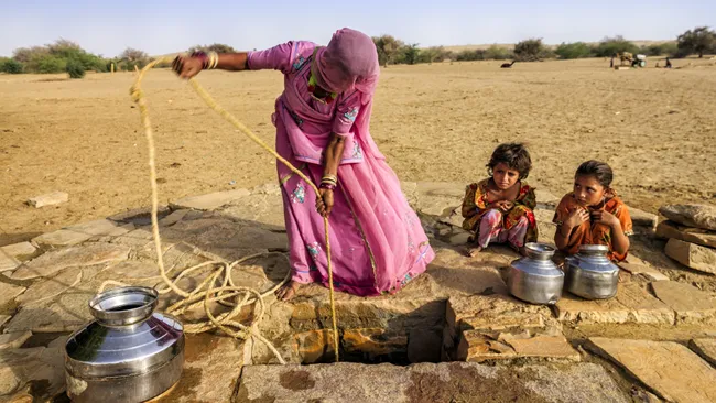 چرا این بیابان غول‌پیکر در حال سبز شدن است؟