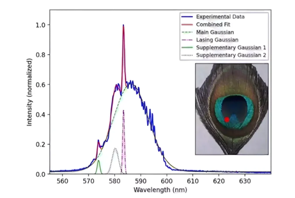 ساخت پرتوهای لیزر از پرهای طاووس