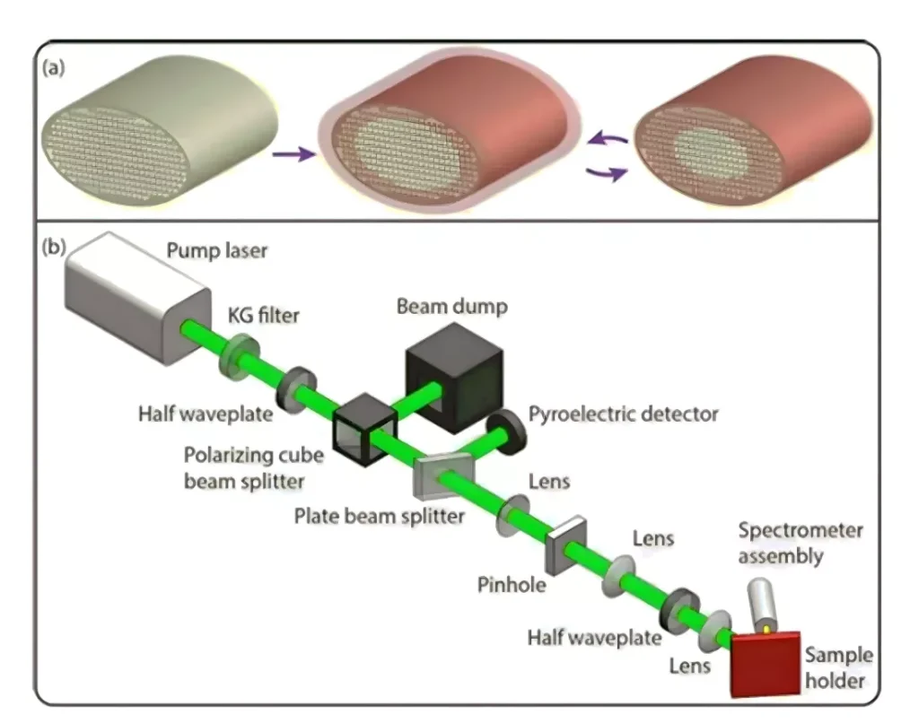 ساخت پرتوهای لیزر از پرهای طاووس