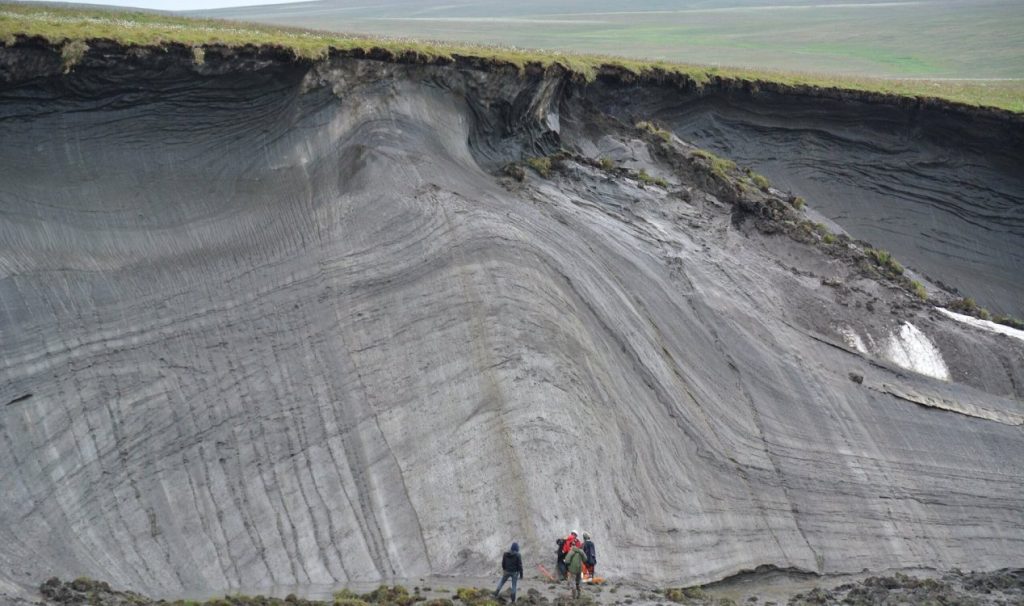 بازگرداندن حیات ۴۰ هزار ساله از یخ‌های قطب شمال
